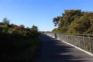 2025-06-21 Bartons Park - IMG_2485_compressed_q50.webp